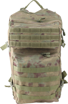 Рюкзак 45л. LIP мох