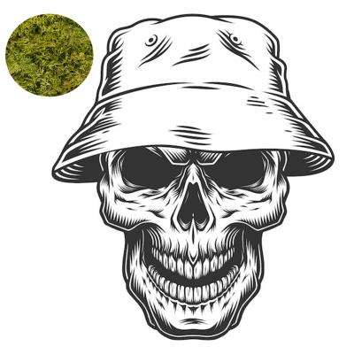 Панама Спец Облака зеленый 