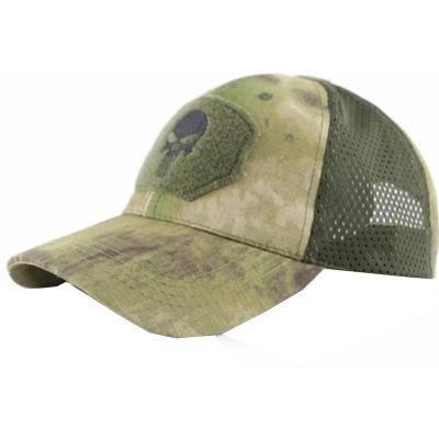 Кепка PANISHER мох